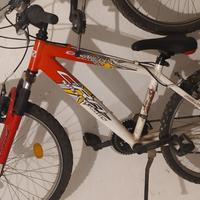 MTB Carnielli 24"  CRN Special Kids