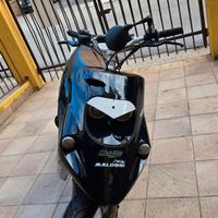 Malaguti f10 jet line