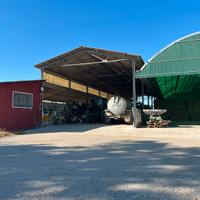 Azienda agricola di ettari 30 unico corpo
