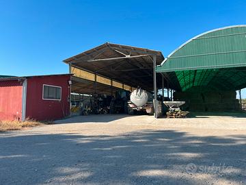 Azienda agricola di ettari 30 unico corpo