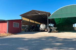 Azienda agricola di ettari 30 unico corpo