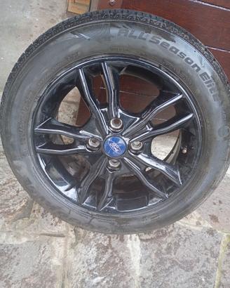Gomme Auto