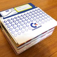 NN.30 FLOPPY DISK 5.25” 5,25” 5 1/4 ANCHE DS DD 2S