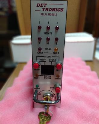 Modulo Relay Det-Tronics R6006C1008 - NUOVO