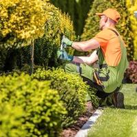 pulizia e sistemazione giardini 
