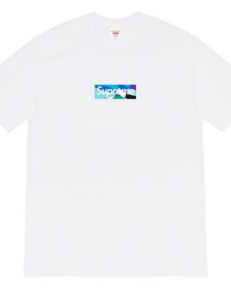 Supreme x Emilio Pucci Box Logo Tshirt White