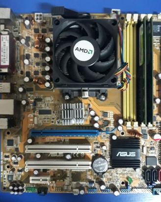 Scheda Madre Asus M2A-Vm + Processore