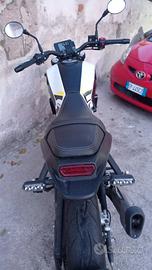 Benelli Leoncino 250 - 2022