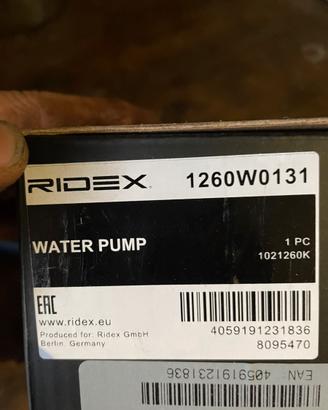 Kit cinghia  per panda