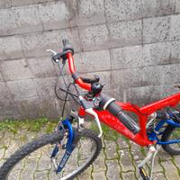 Bici MTB
