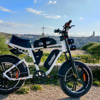 bici elettrica engwe M20  2024