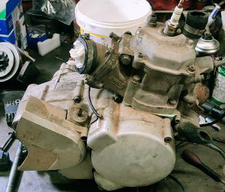 Motore rotax 123 RS 125