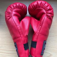 Guantoni box allenamento