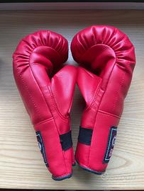 Guantoni box allenamento