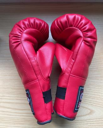 Guantoni box allenamento