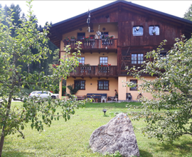 Vacanze sulle Dolomiti Comelico Cadore