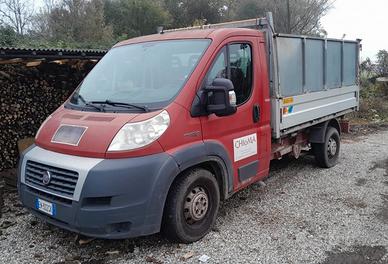 Fiat ducato iveco cassonato ribaltabile