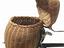 Immagine 5