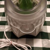 Centrifuga per frutta e verdura