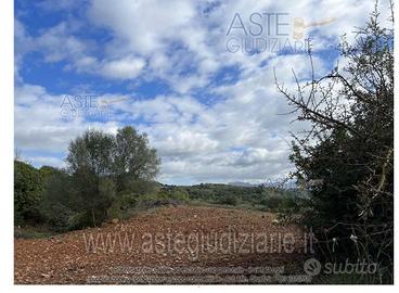 Terreno Agricolo Narcao [A4334640]