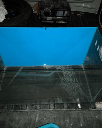 Acquario