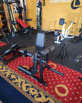 Leg extension leg curl