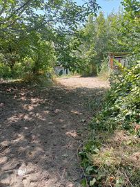 Terreno agricolo