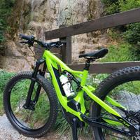 biciclette specialized