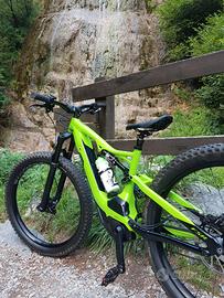 biciclette specialized