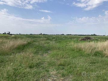 Immobile in asta di 49600 m² a Bondeno
