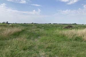 Immobile in asta di 49600 m² a Bondeno