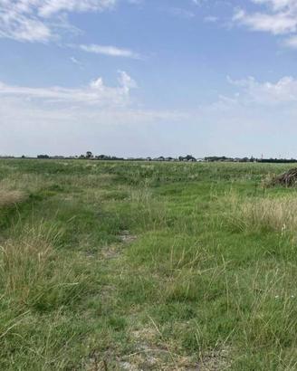 Immobile in asta di 49600 m² a Bondeno
