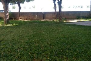 A Schiavonea 1 fila fronte mare