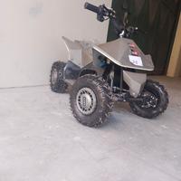 mini quad