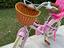 Immagine 5