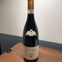 Nino Negri Sfursat 2019