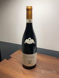 Nino Negri Sfursat 2019