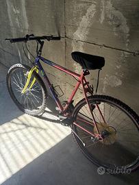 Bicicletta mountain bike