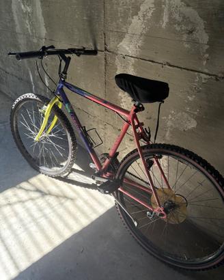 Bicicletta mountain bike