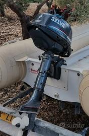 Motore fuoribordo 4 tempi