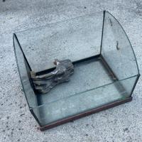 Vaschetta acquario per tartarughe o pesci