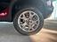Immagine 7