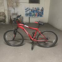 bici schwinn