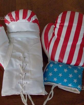 Guantoni da Boxe Pugilato