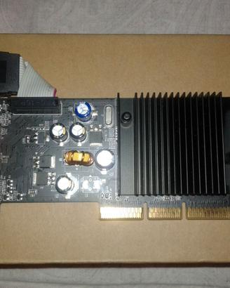 Scheda video GeForce 6200 256 Mb Ddr2 Tv Dvi