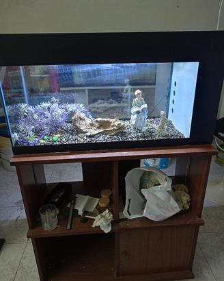acquario 