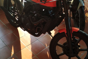 Guzzi 350 GTS cafè racer