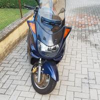 Majesty 250