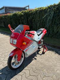 Gilera MX1 Record