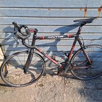 Bici da corsa in carbonio taglia 60